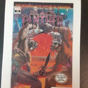 BLACK PANTHER #13 (2018 SERIES) WRITTEN BY TA-NEHISI COATES ART BY DANIEL ACUNA